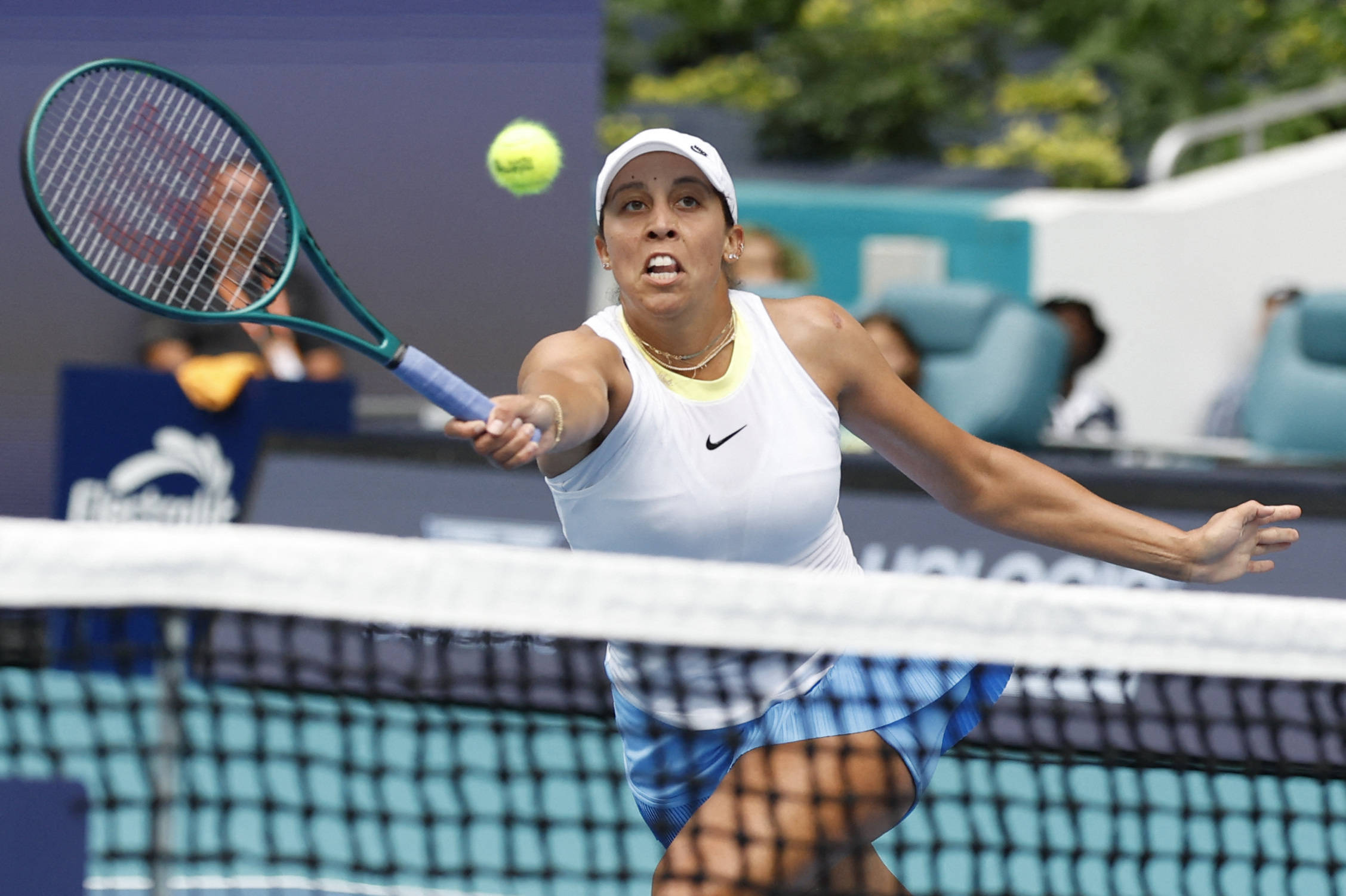 青岛海牛在 青岛海牛在